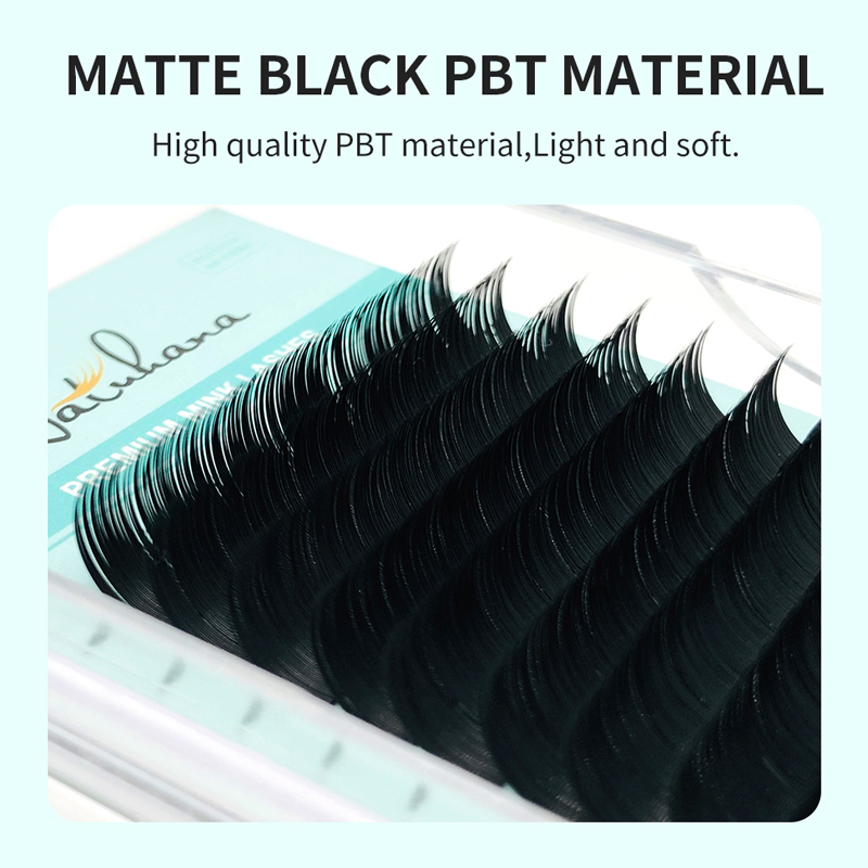 NATUHANA Hàn Quốc PBT 16 Hàng  - đánh giá và giá Eyelash Extension Korea Natural