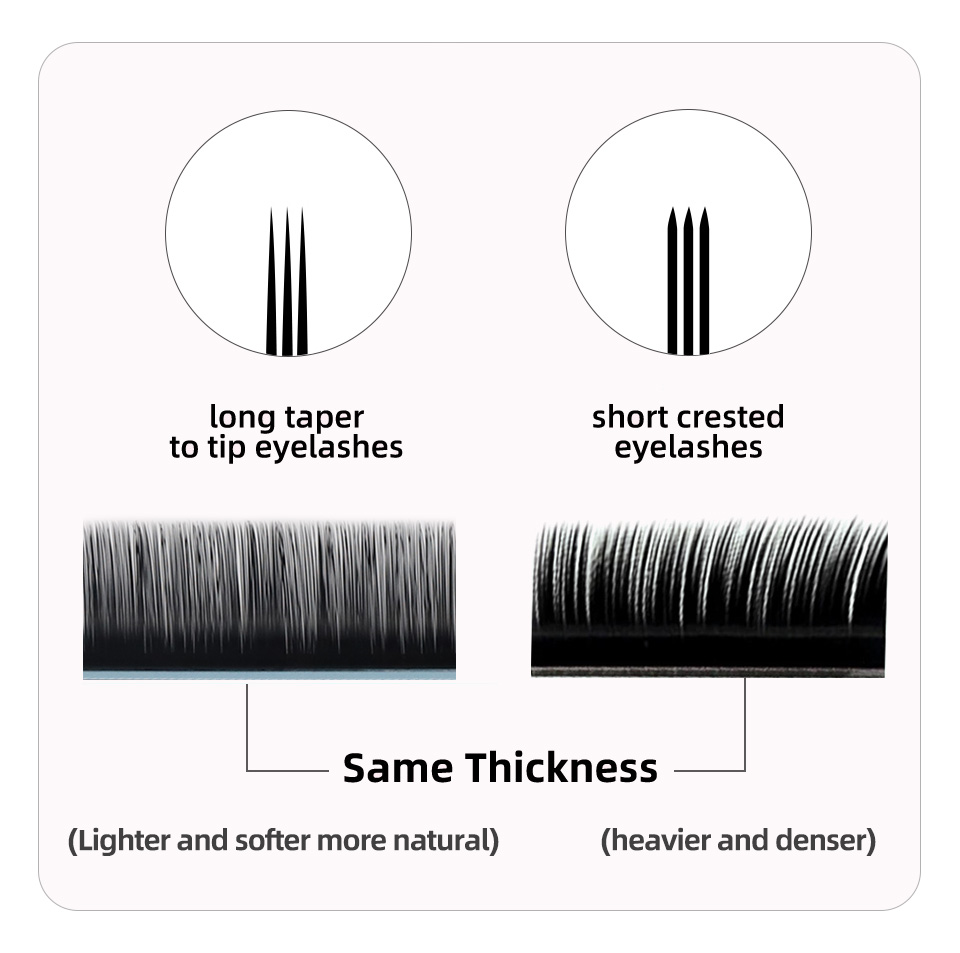 AGUUD J B C D Curl Volume Lash - đánh giá và giá Eyelash Extension Korea Natural